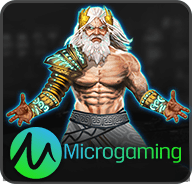 MicroGaming